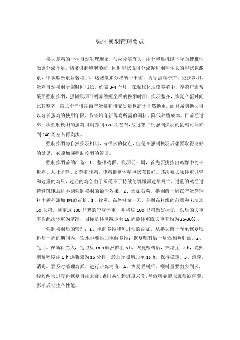 蛋鸡强制换羽管理要点