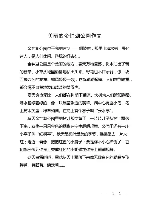 美丽的金钟湖公园作文