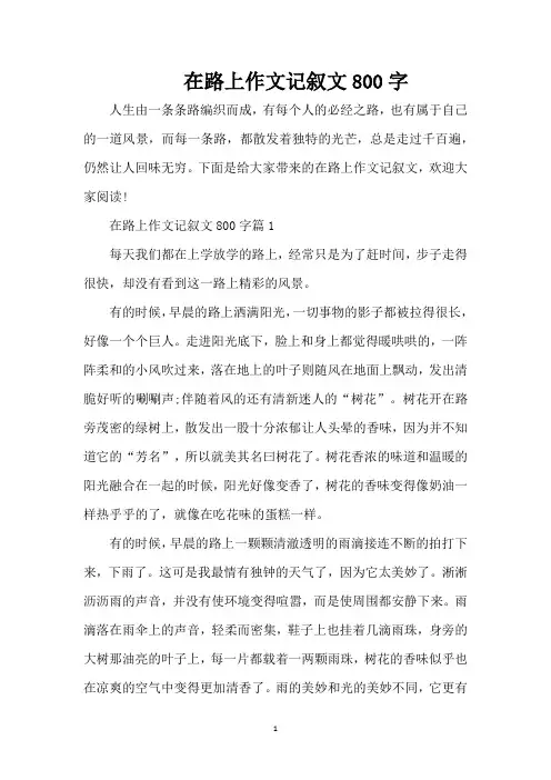 在路上作文记叙文800字(精编版)