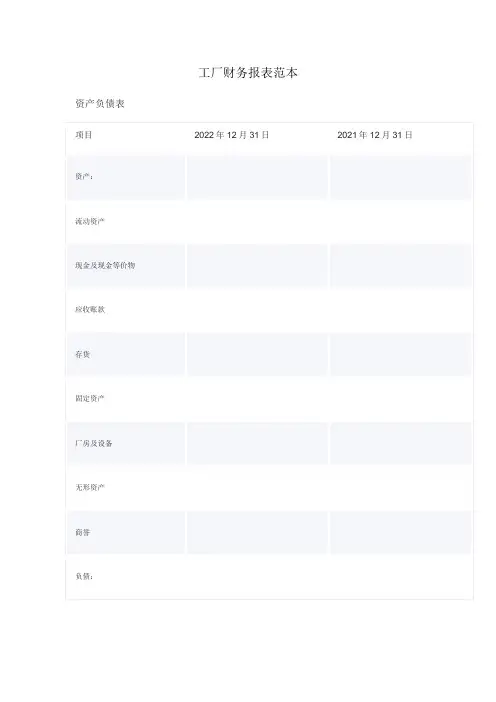 工厂财务报表范本