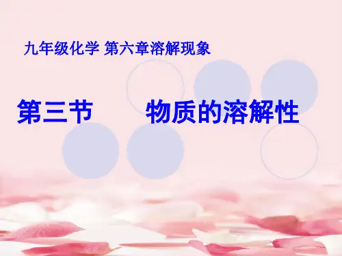 初中化学物质的溶解性课件PPT