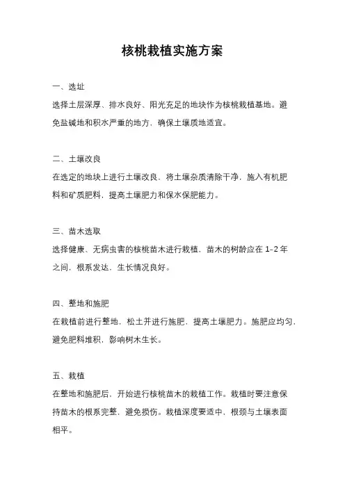 核桃栽植实施方案