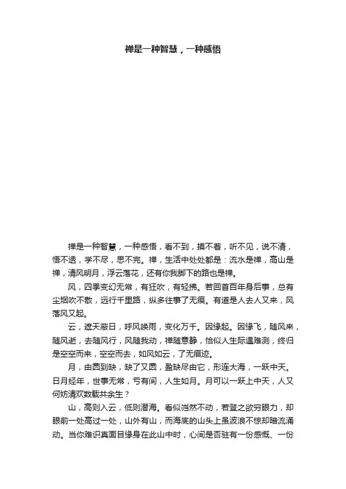 禅是一种智慧，一种感悟