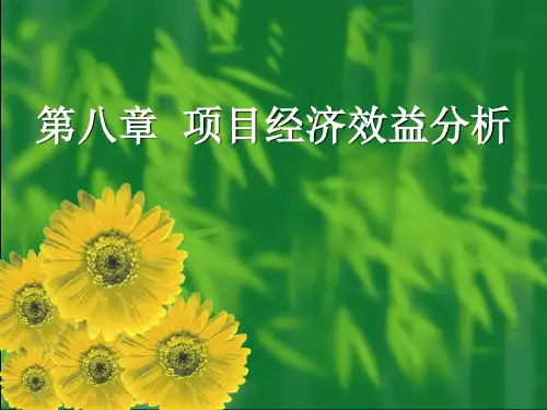 项目经济效益分析