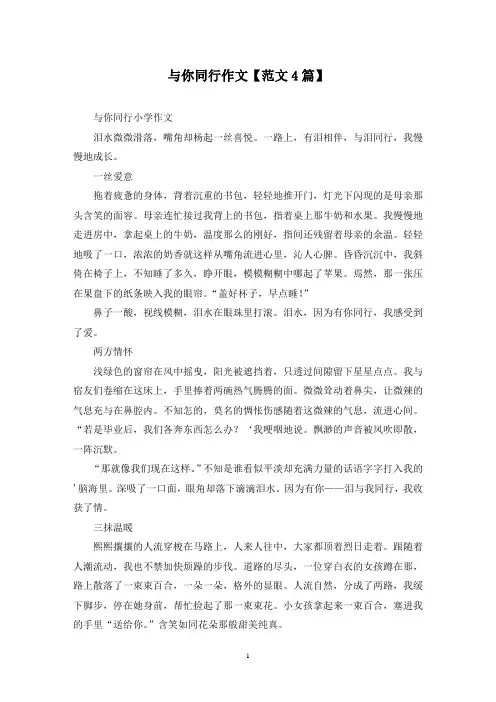 精选与你同行作文【范文4篇】
