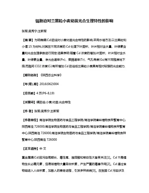 镉胁迫对兰黑粒小麦幼苗光合生理特性的影响