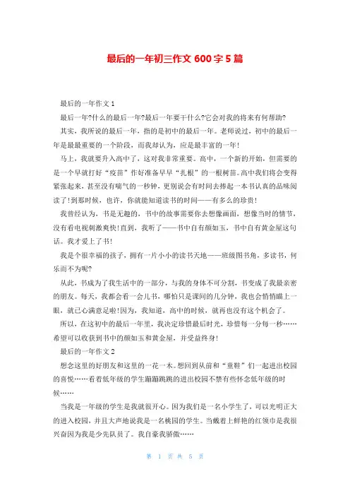 最后的一年初三作文600字5篇
