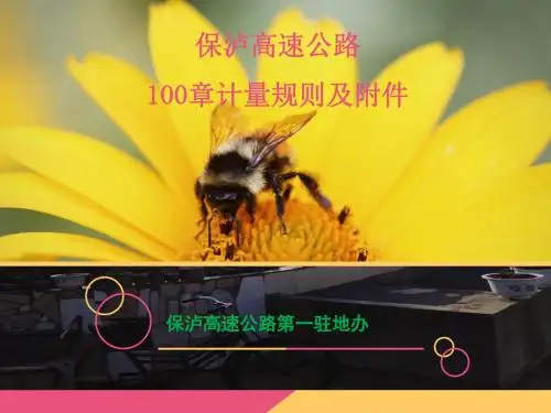保泸高速公路第100章清单计量规则及附件 