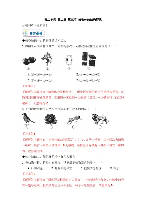 人教版七年级生物上册《 植物体的结构层次》大单元教学分层训练(解析版)
