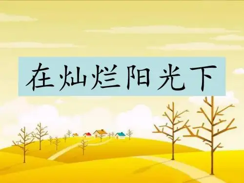 《在灿烂阳光下》