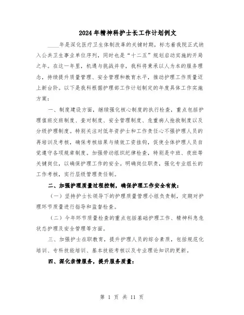 2024年精神科护士长工作计划例文(五篇)