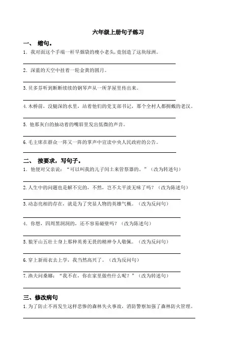 最新部编版六年级语文句型练习