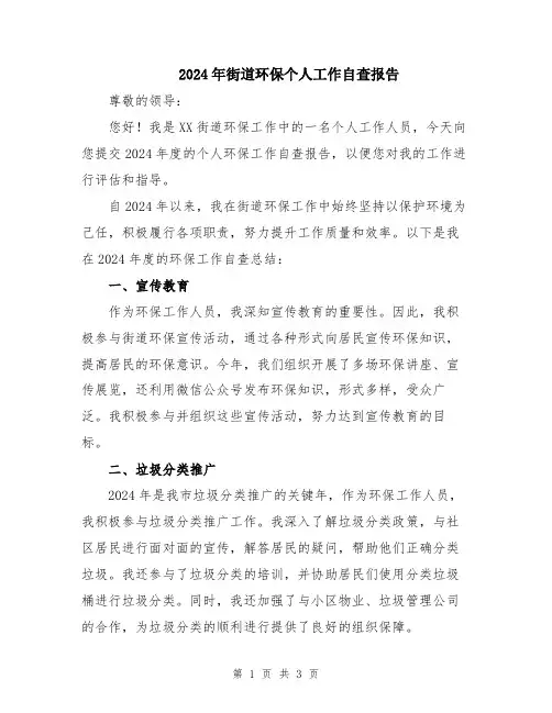 2024年街道环保个人工作自查报告