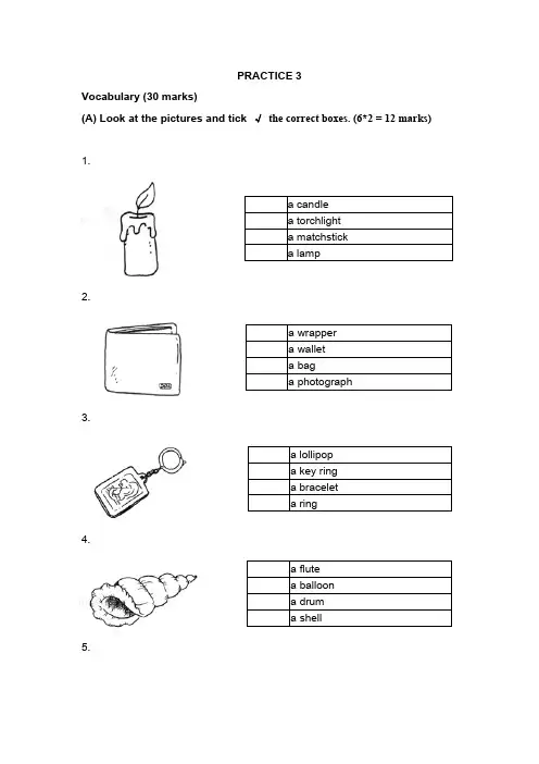 新加坡小学英语试卷一年级PRACTICE 3