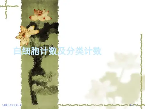 白细胞计数及分类计数