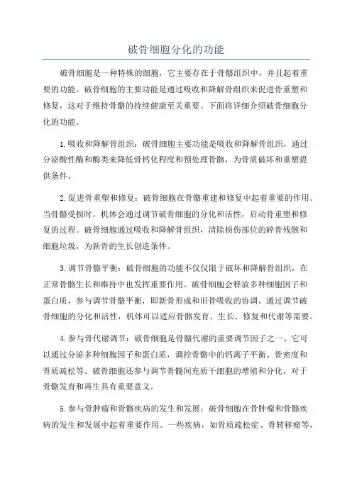 破骨细胞分化的功能