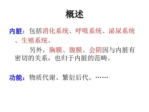 内脏总论消化系统PPT课件