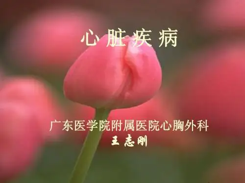 心 脏 疾 病