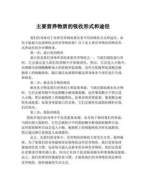 主要营养物质的吸收形式和途径