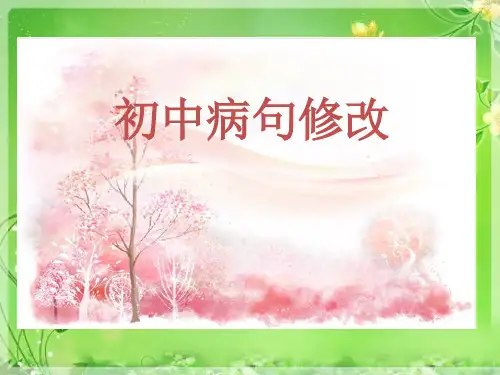 初中病句ppt精品PPT课件