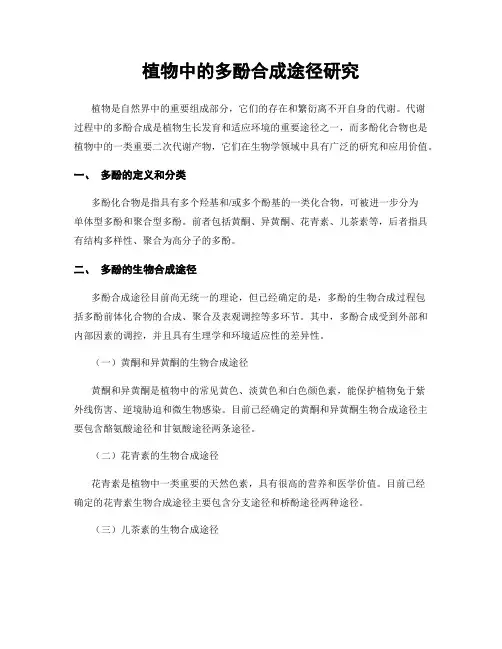 植物中的多酚合成途径研究