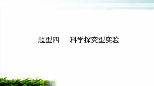 中考化学专题复习：科学探究型实验复习课件(共33页)