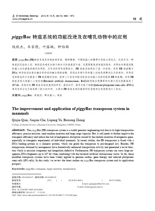 piggyBac 转座系统的功能改进及在哺乳动物中的应用