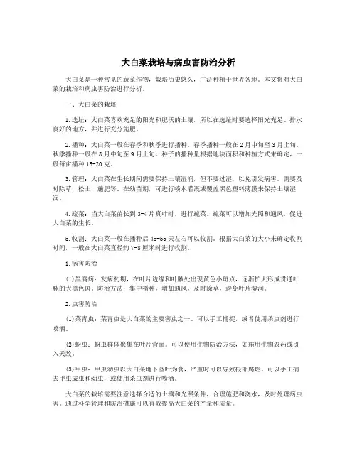 大白菜栽培与病虫害防治分析