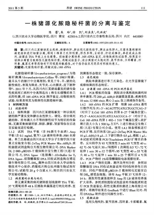一株猪源化脓隐秘杆菌的分离与鉴定