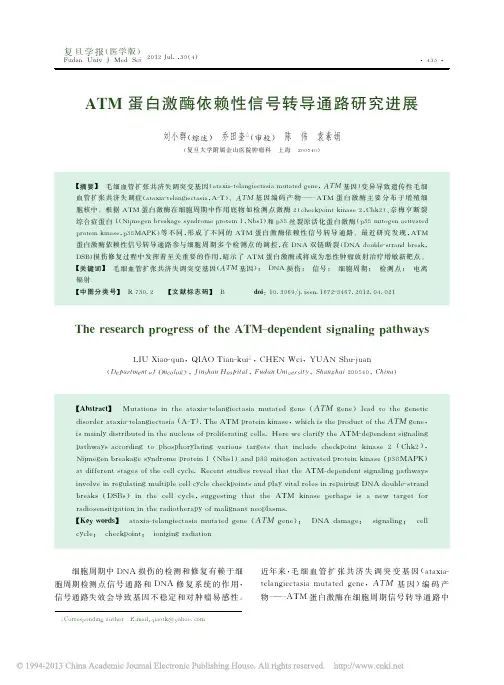 ATM蛋白激酶依赖性信号转导通路研究进展