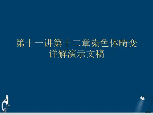 第十一讲第十二章染色体畸变详解演示文稿