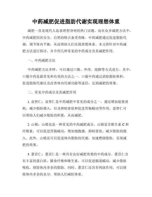 中药减肥促进脂肪代谢实现理想体重
