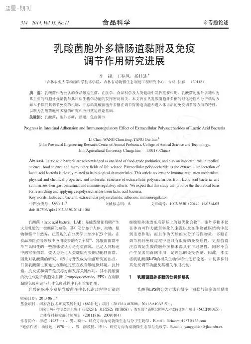 乳酸菌胞外多糖肠道黏附及免疫调节作用研究进展