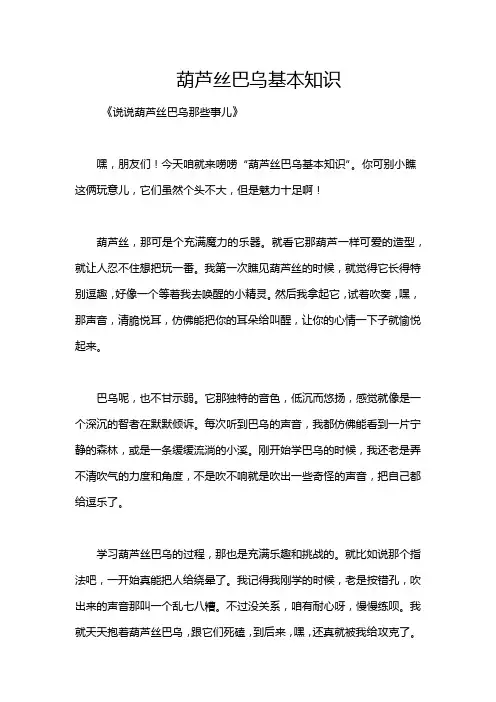 葫芦丝巴乌基本知识