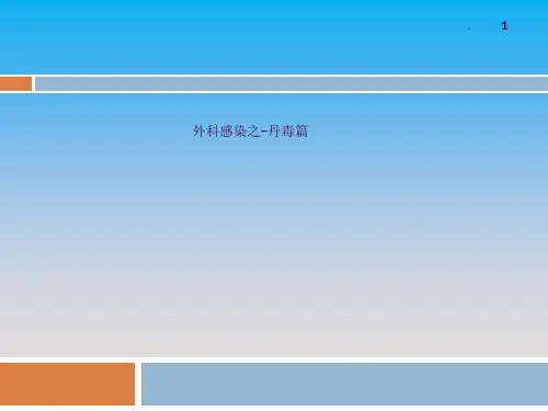 丹毒(1)ppt课件