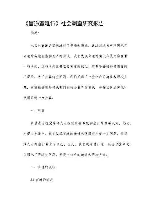 盲道蛮难行社会调查研究报告