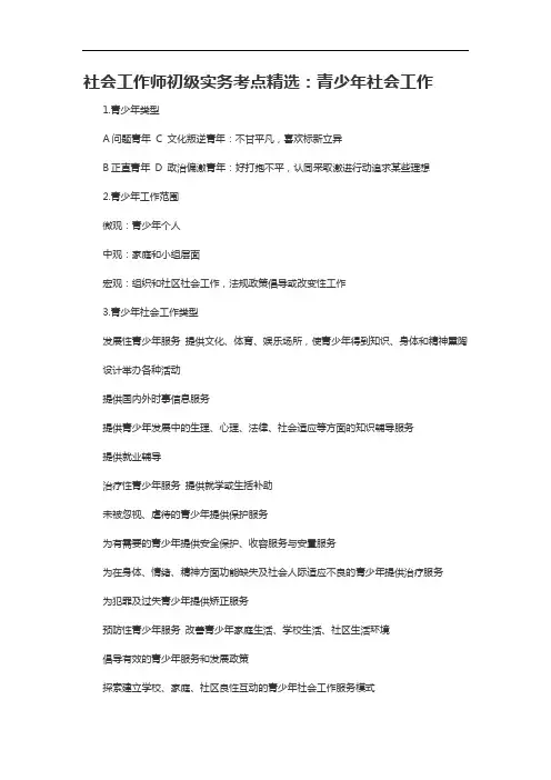 社会工作师初级实务考点精选：青少年社会工作