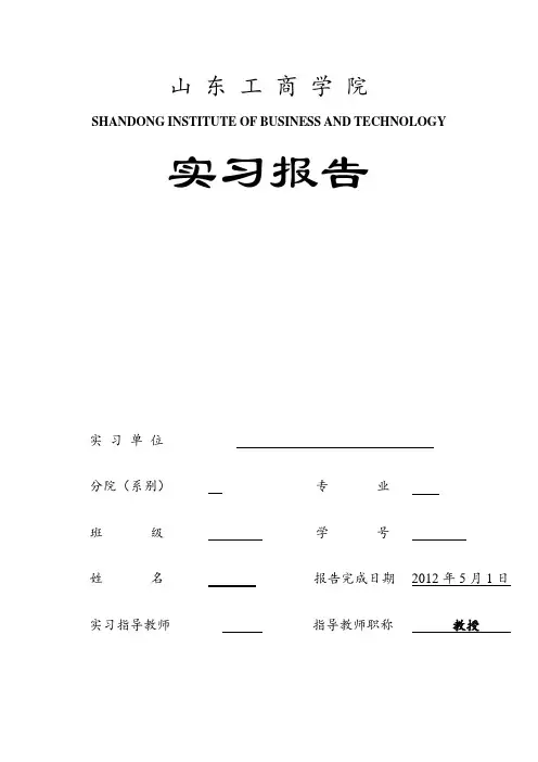 经济和信息化局实习报告