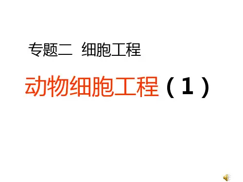 人教版高中生物选修3课件2.2 动物细胞培养和动物体细胞核移植课件