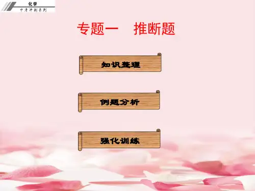 2017届中考化学推断题专题总复习PPT