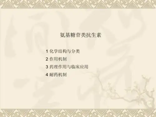 氨基糖苷类抗生素精品PPT课件
