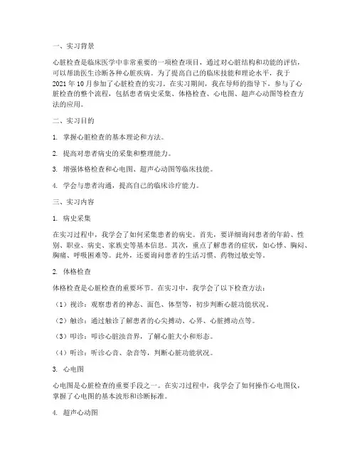 心脏检查的实习报告