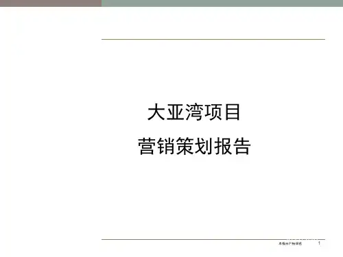 深圳高端住宅项目营销策划报告世联