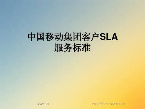 中国移动集团客户SLA服务标准