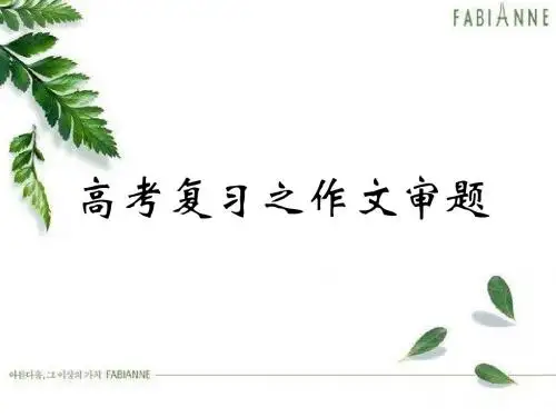 高考复习之作文审题ppt