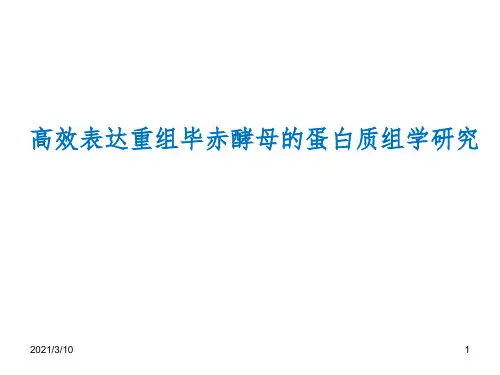 毕赤酵母蛋白质组学研究课件PPT