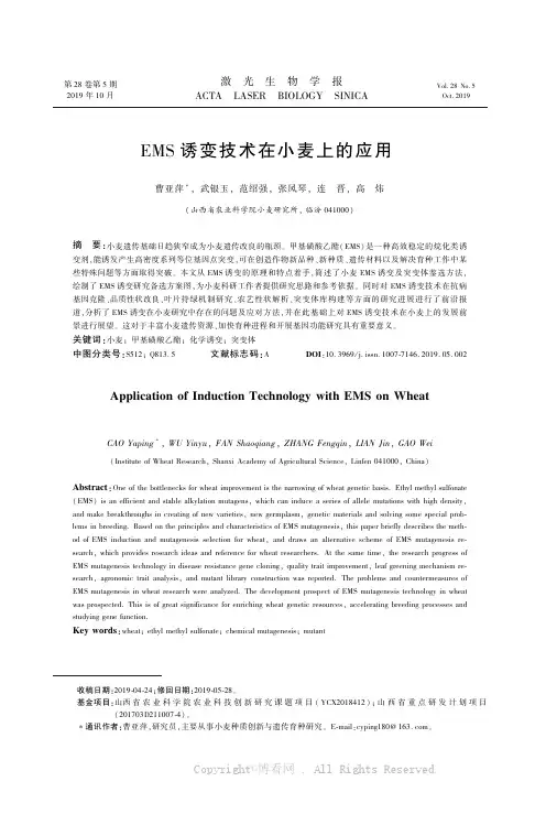 EMS 诱变技术在小麦上的应用