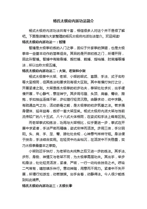 杨氏太极府内派功法简介