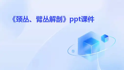 《颈丛、臂丛解剖》课件