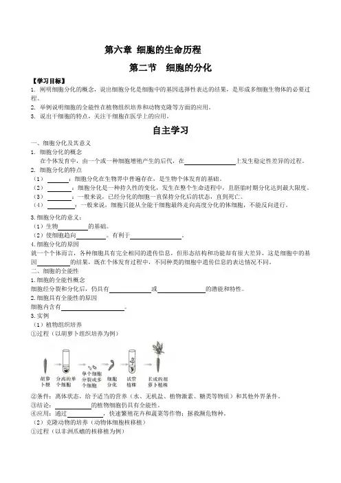 细胞的分化(解析版)